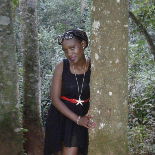 Peris Tarus