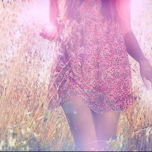 Maria Fernanda Tapia Cortes