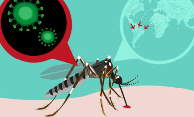 Zika 2 395x238