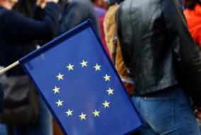 Populists in the European Elections