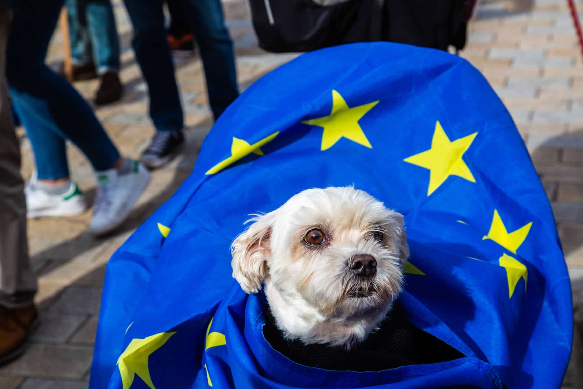 Stop-Brexit-Wooferendum-Brexit-peoples-vote-new.