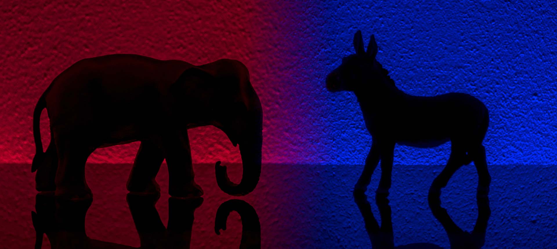 Democrats, Democrats news, Democratic Party, news on Democratic Party, US politics, American politics, Tulsi Gabbard, Joe Biden, Bernie Sanders, Elizabeth Warren