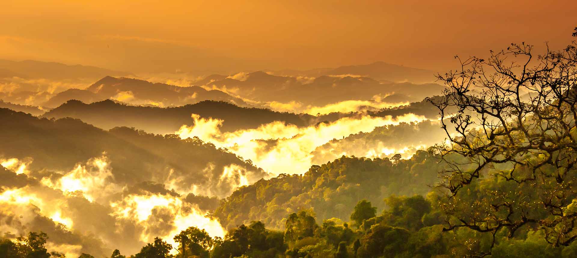 Amazon fires news, Brazil news, global warming and the Amazon, Amazon rainforest news, destruction of Amazon rainforest, Brazil economy, Amazon illegal logging, Amazon native tribes, Amazon conservation, Amazon rainforest and global warming