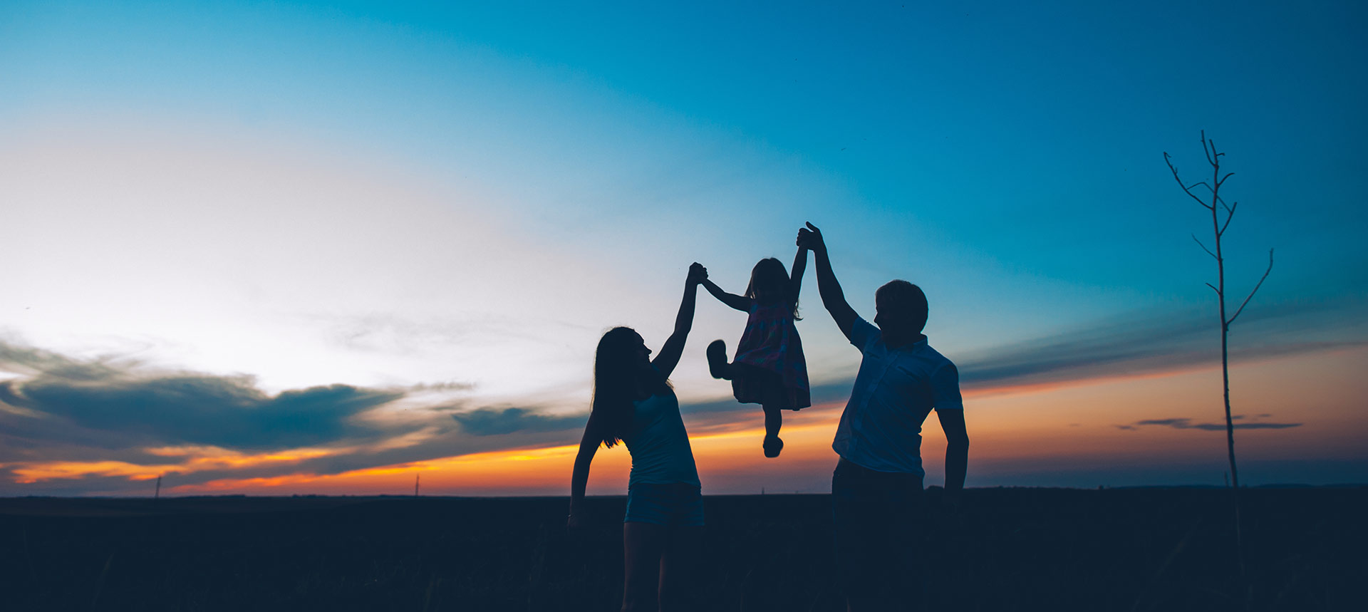 far right ideology, natural family far right, Catholic Church and LGBTQ, pro-life movement, protecting traditional values, traditional family values, gender studies, radical right and traditional family values, World Congress of Families, International Organization for the Family