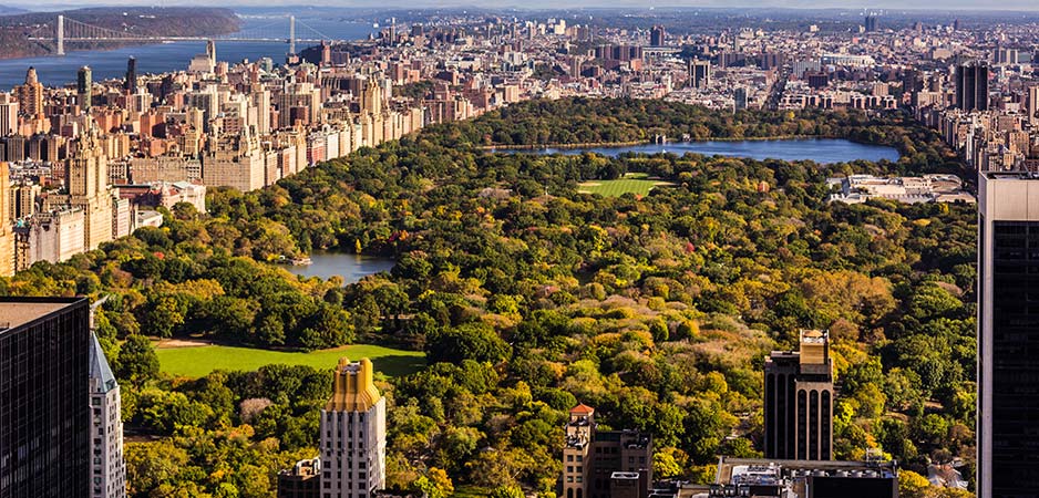 Central Park, Manhattan, New York, Climate change, coronavirus climate change, COVID-19, coronavirus pandemic, impact of climate change, Tom Engelhardt, American news