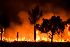 We Didn't Start the Fire