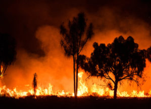 We Didn’t Start the Fire