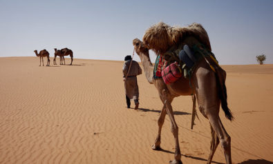 Insecurity in the Sahel Region
