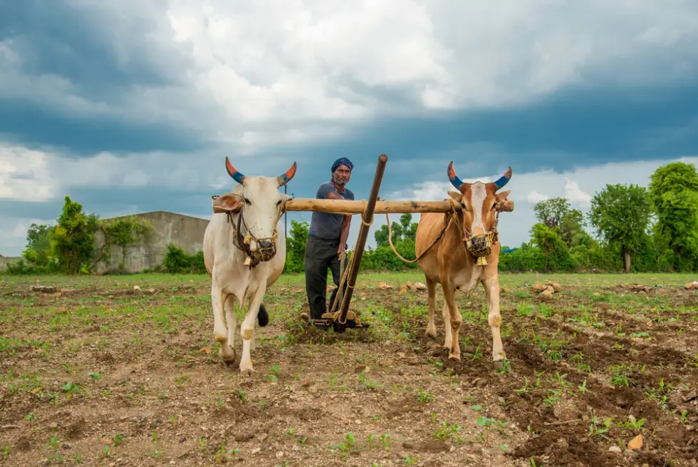 Indian farmer