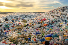 When Will Boris Johnson Be Committed?