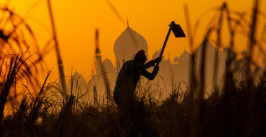 Indian Farmer Protests Explained