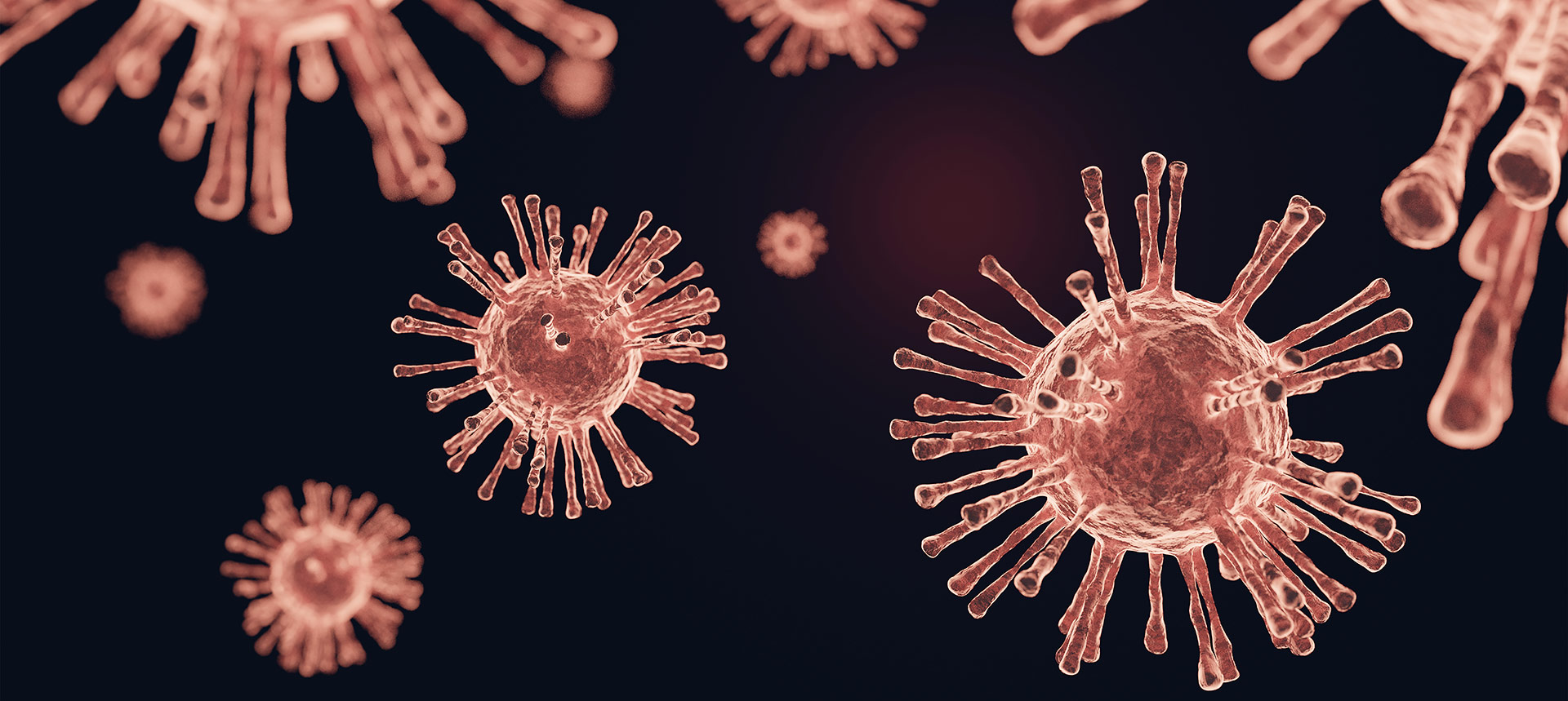 World Health Organization, WHO, US return to the WHO, COVID-19 pandemic, SARS-CoV2, coronavirus news, Joe Biden news, Biden administration, Hamad bin Khalifa University, Andreas Rechkemmer