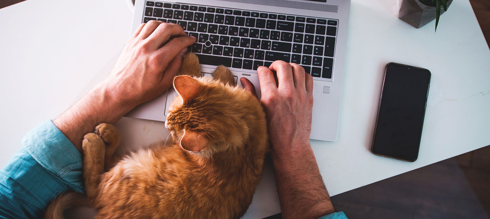 Kiara Taylor, working from home, remote working, business news, employment news, COVID 19 pandemic job market, gig economy news, freelance work, team work, post pandemic recovery