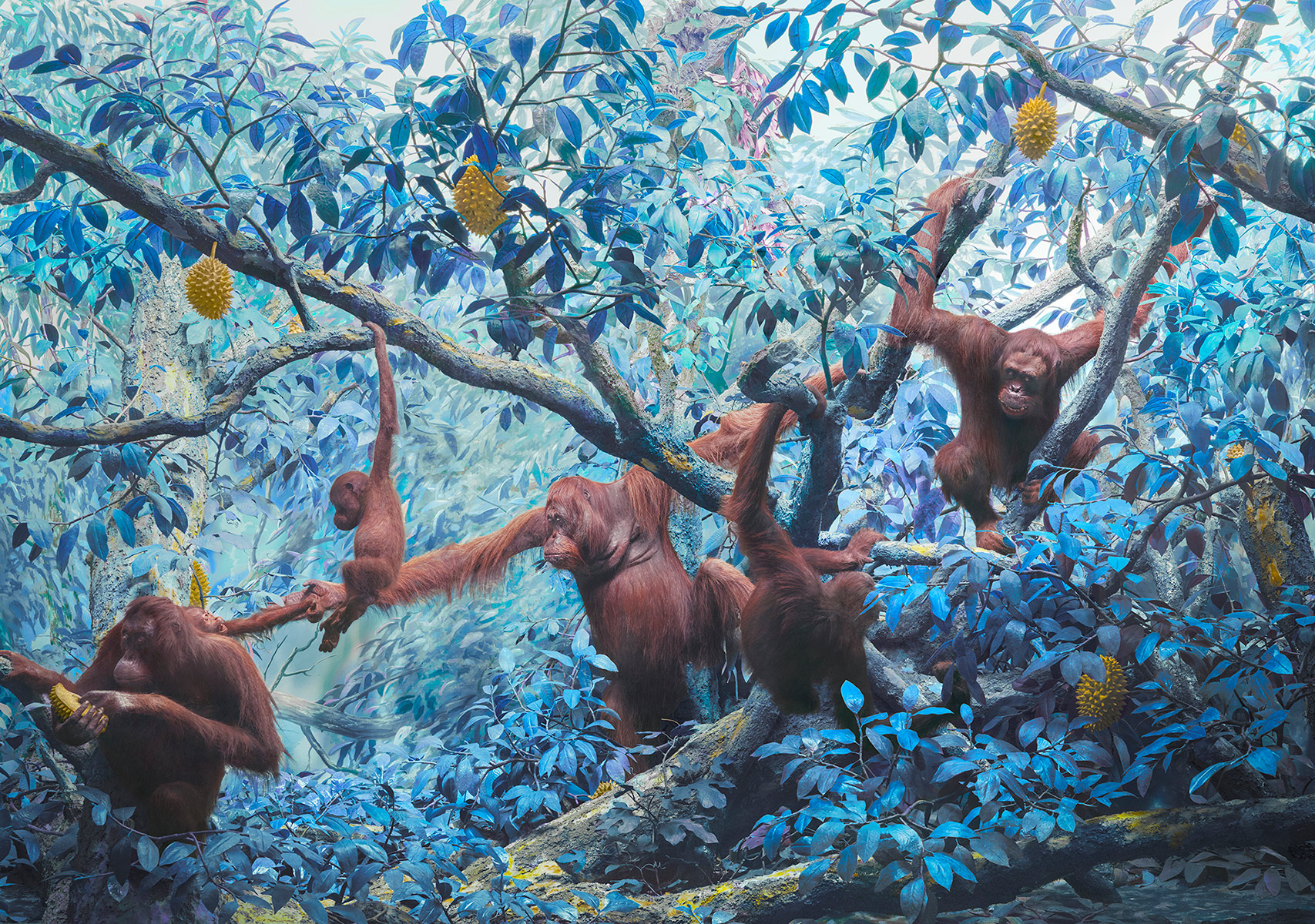 Jim Naughten, climate change news, COP26 news, biodiversity loss rate, extinction rate, Anthropocene, meat industry climate change, Earthshot Prize news, climate photography news, environment news