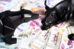 Indian Equities, Global Markets: What Is the Story?