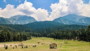 kashmirs-pristine-tourist-destination