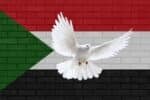 The Cost of Silence: Why Global Inaction Is Betraying the People of Sudan