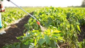 Working with Nature: Why Biopesticides Must Replace Chemicals