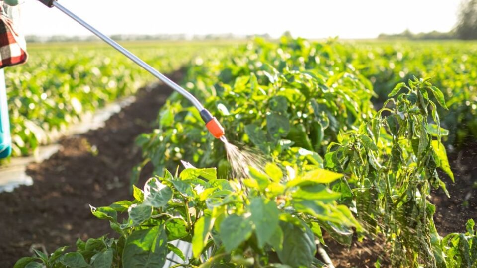 Working with Nature: Why Biopesticides Must Replace Chemicals