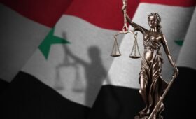 Human Rights and Organizational Wrongs Investigating the Malpractice of the Syrian Network for Human Rights