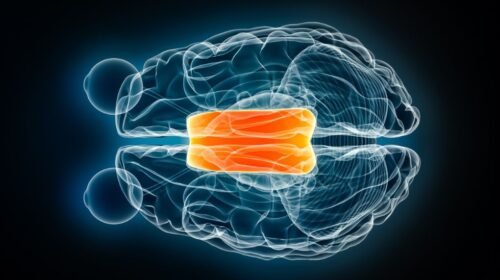 AI’s Touching Humility vs. Its Creators’ Arrogant Hubris