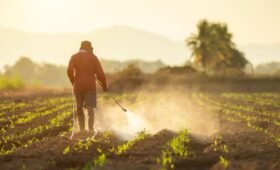 France Sacrifices Evidence for Emotion in New Pesticide Policy