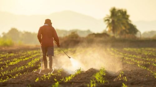 France Sacrifices Evidence for Emotion in New Pesticide Policy