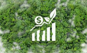 The Green Swap: Recalibrating Sovereign Finance for Climate and Development Symbiosis