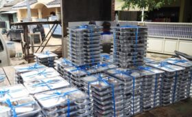 Feeding Indonesia’s Future, or Poisoning its Promise?