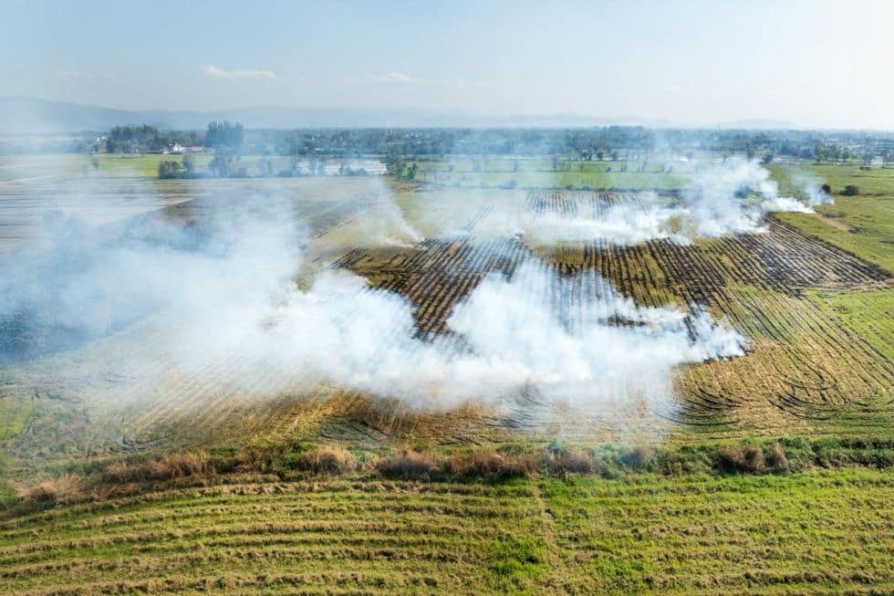 Monetizing Carbon Markets Now: The Results India Needs