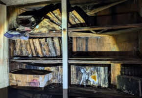 Who Canonized the Western Canon — and Why Did We Kill It?