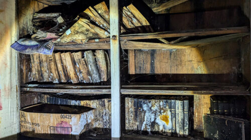 Who Canonized the Western Canon — and Why Did We Kill It?