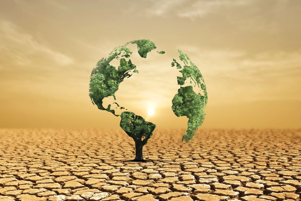 We’re Racing Down the Highway to a Mad Max World