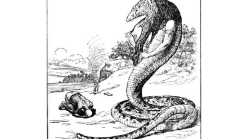 In Defense of Useless Hobbies