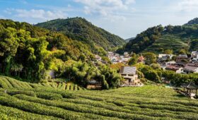 China’s Neglected Agricultural Revolution