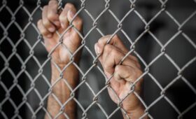 People Die While Companies Profit, as Concentration Camps Metastasize Across the US