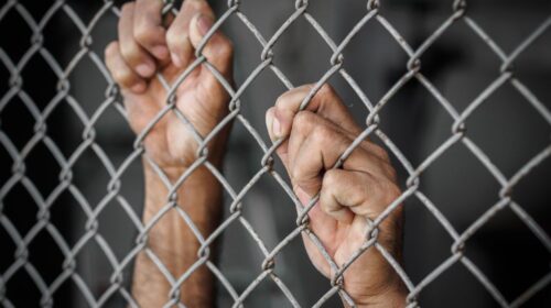 People Die While Companies Profit, as Concentration Camps Metastasize Across the US