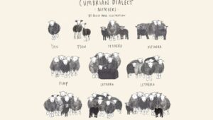 A Brief History of Dik: Indo-European Linguistics and Counting Rhymes, or, Dik + Pimp = Bumfit