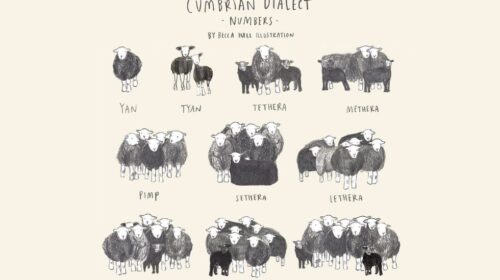 A Brief History of Dik: Indo-European Linguistics and Counting Rhymes, or, Dik + Pimp = Bumfit