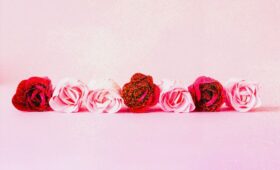 The Great Rosebud Debate Resolved? — Part 2