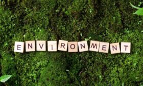 The New Five Forces, Part 4: Environment and Its Regulation