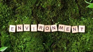 The New Five Forces, Part 4: Environment and Its Regulation