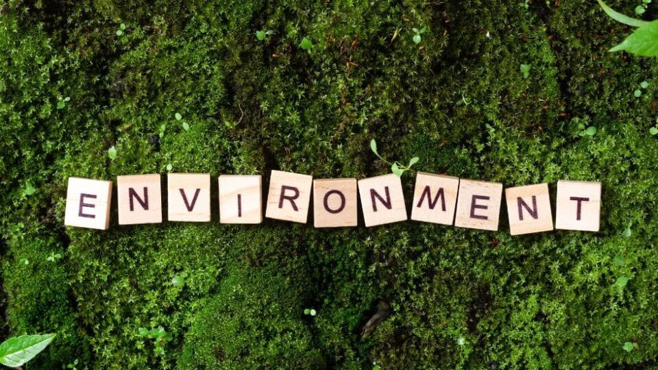 The New Five Forces, Part 4: Environment and Its Regulation