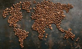 The Global Stakes Behind Every Cup of Coffee