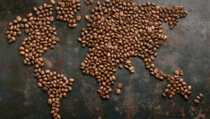 The Global Stakes Behind Every Cup of Coffee