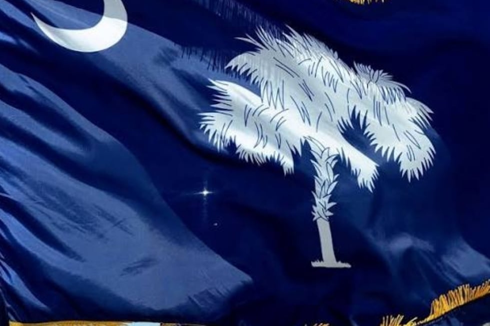 A Disgruntled South Carolinian’s Breakdown of South Carolina’s Republican Senate Runoff