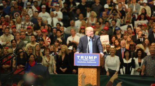 How Democracies Traded Political Expertise for Incompetence