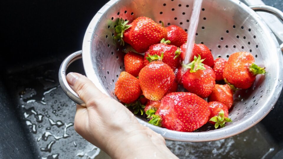 Navigating Food and Water Safety: Why Outbreaks Are Making Headlines in the US