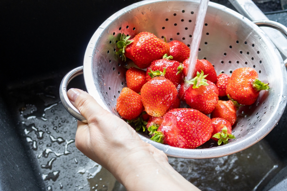 Navigating Food and Water Safety: Why Outbreaks Are Making Headlines in the US