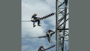 Indonesia Needs Japan’s Technical Expertise to Modernize its Power Grid